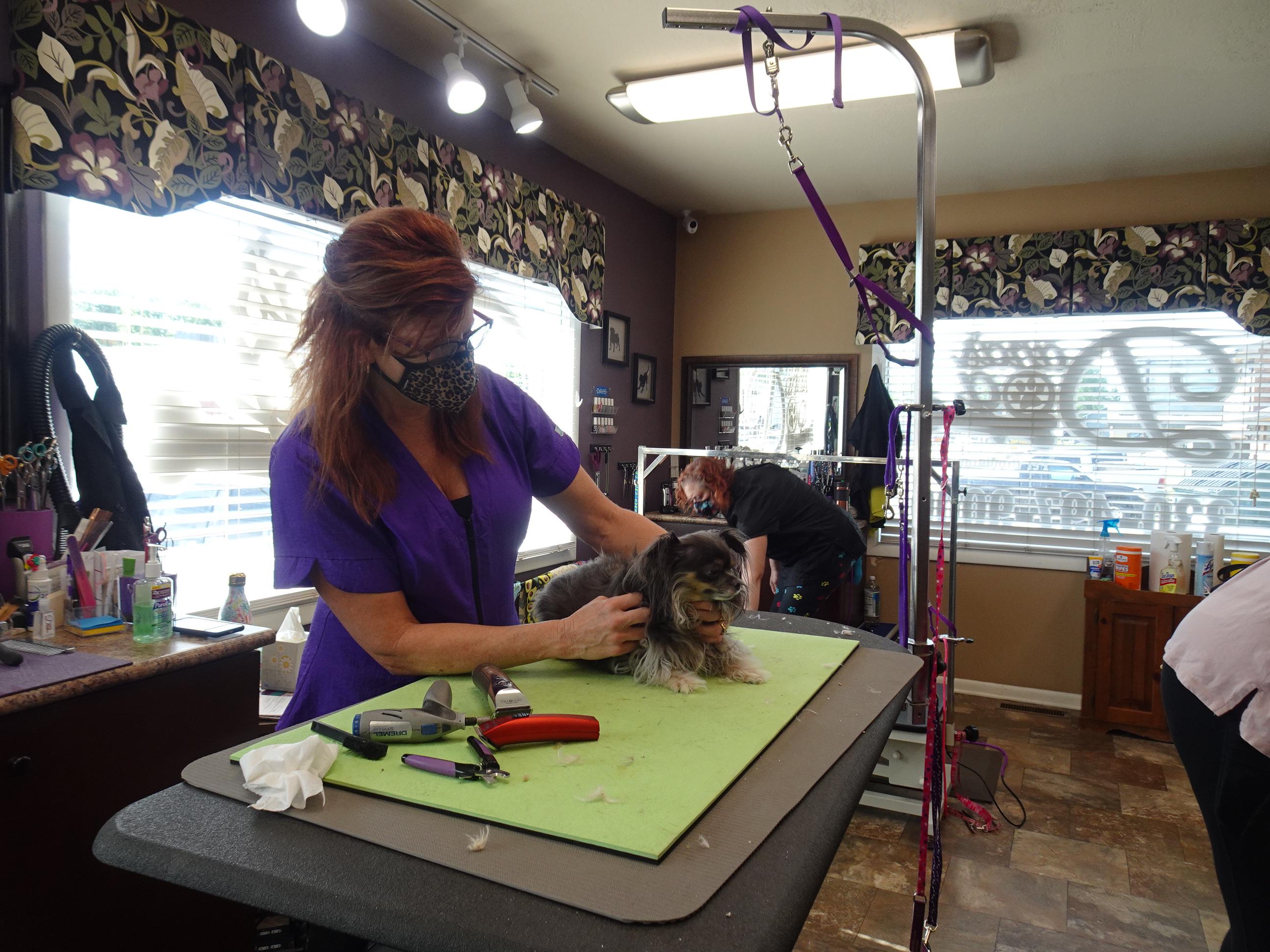 dana's pet salon